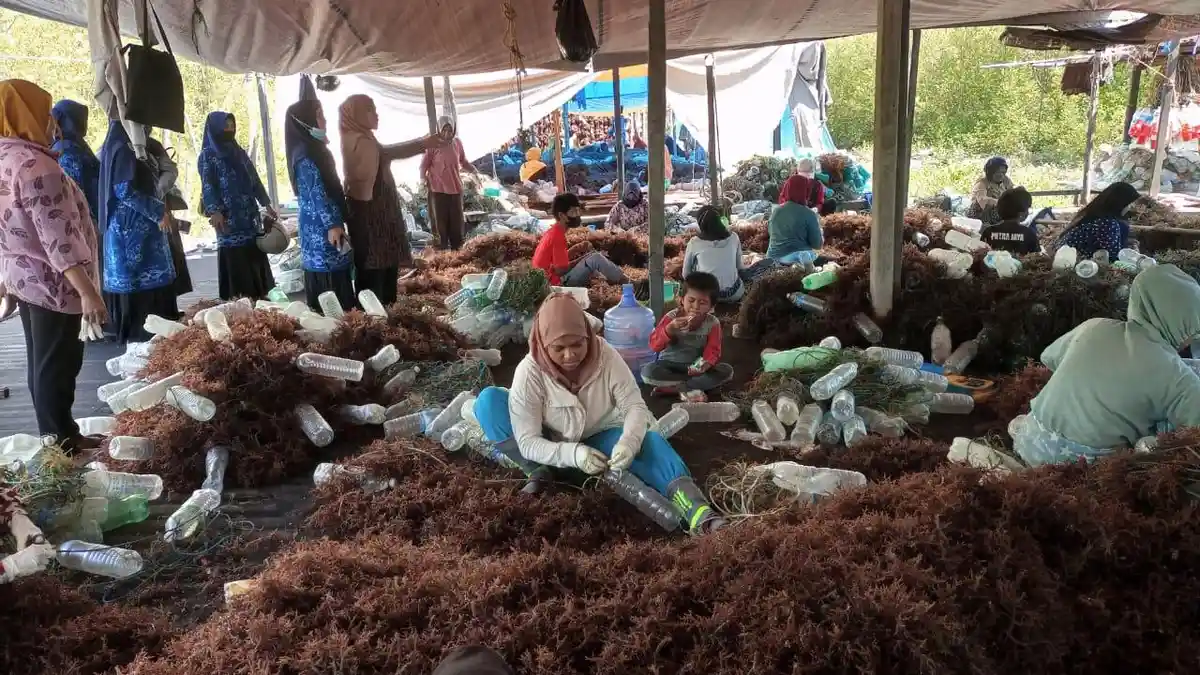 Prihatin Anak Putus Sekolah dan Ungkap Hasil Mabettang Capai Rp 60 Juta, Lanal Nunukan Lakukan ini