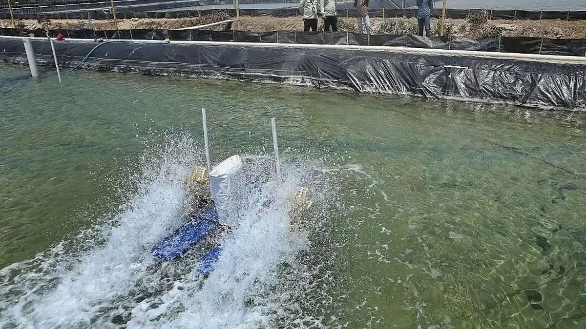 Foto-foto Tambak Udang Hemat Belasan Juta Per Bulan Berkat Program Electrifying Agriculture PLN - Petugas-PLN-mengawasi-instalasi-listrik-di-tambak-udang-vaname-Desa-Laikang-Kabupaten-Takalar.jpg