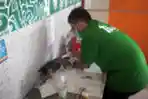 Dinas KPKP DKI Jakarta Lakukan Sterilisasi Hewan Peliharaan