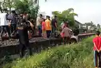 Polisi-mengevakuasi-DAQ-yang-tewas-tertabrak-Kereta-Api-Wijayakusuma-di-rel-jember.jpg
