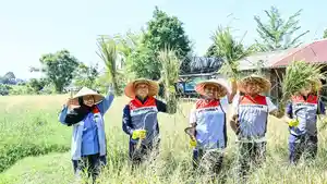 PERTAMINA-TINJAU-LANGSUNG.jpg