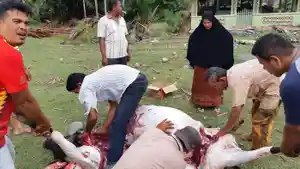 kurban_20180826_192822.jpg