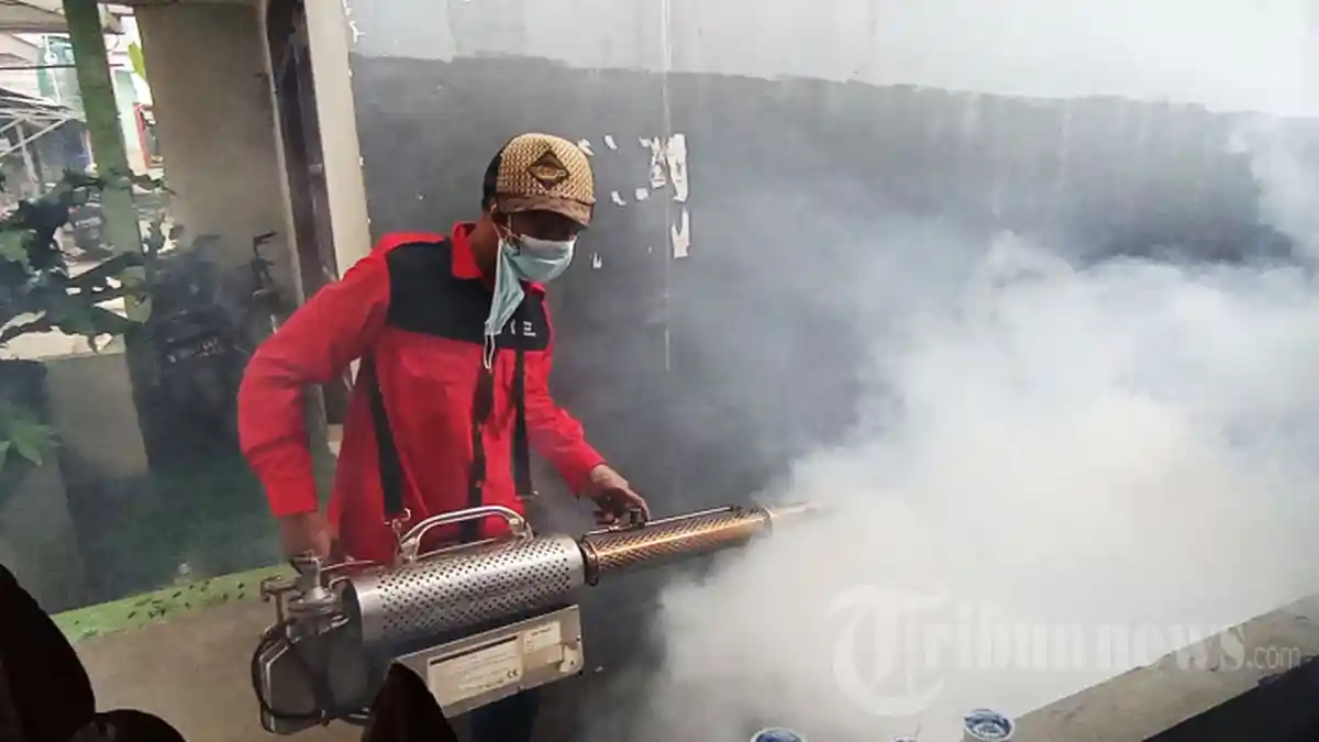 92 Kasus DBD di Lebak, Empat Orang Meninggal Dunia, Dinkes: Fogging Tidak Dianjurkan, Tapi 3M Plus