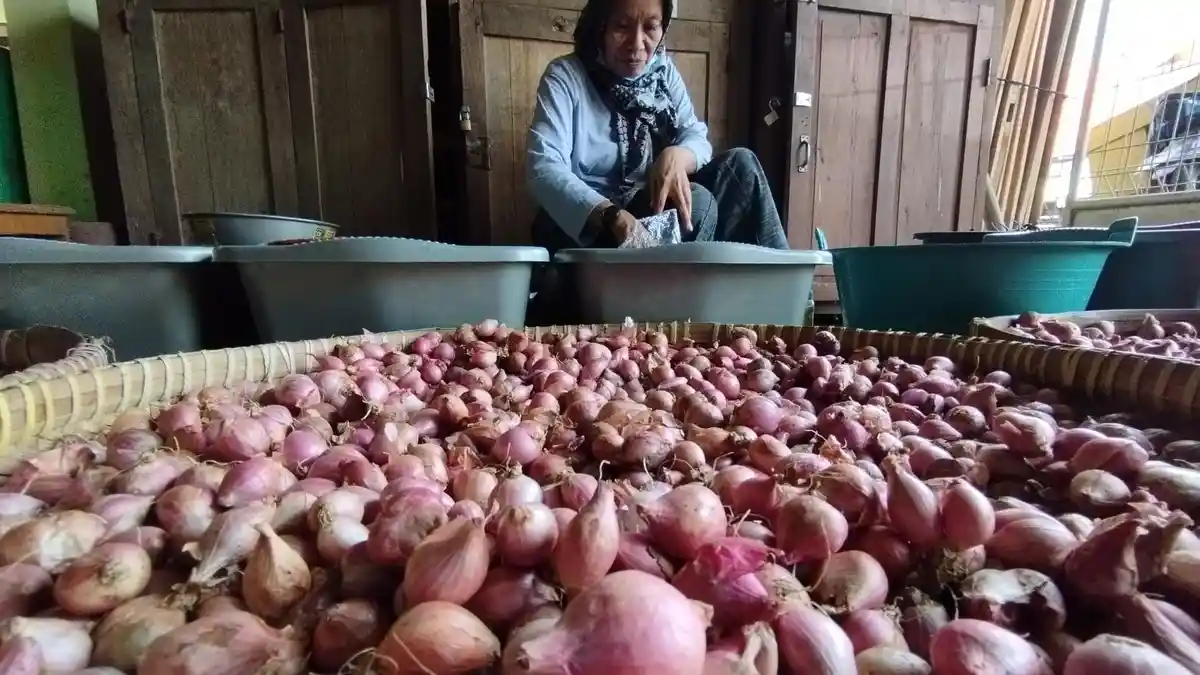 UPDATE Harga Bawang Merah dan Cabai Rawit Merah Hari Ini di DI Yogyakarta Rabu 5 Juni 2024