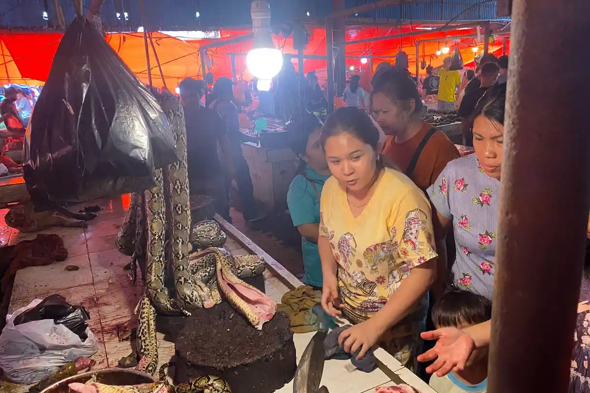 3 Berita Populer Sulut: Daging Ekstrem Jadi Primadona di Pasar Tomohon, Warga Serbu Kios Kembang Api