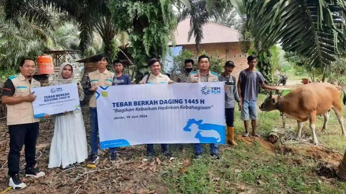 YBM PLN UP3 dan UP2K Jambi Salurkan 2 Sapi Lewat Program Tebar Daging Berkah Disambut Antusias Warga