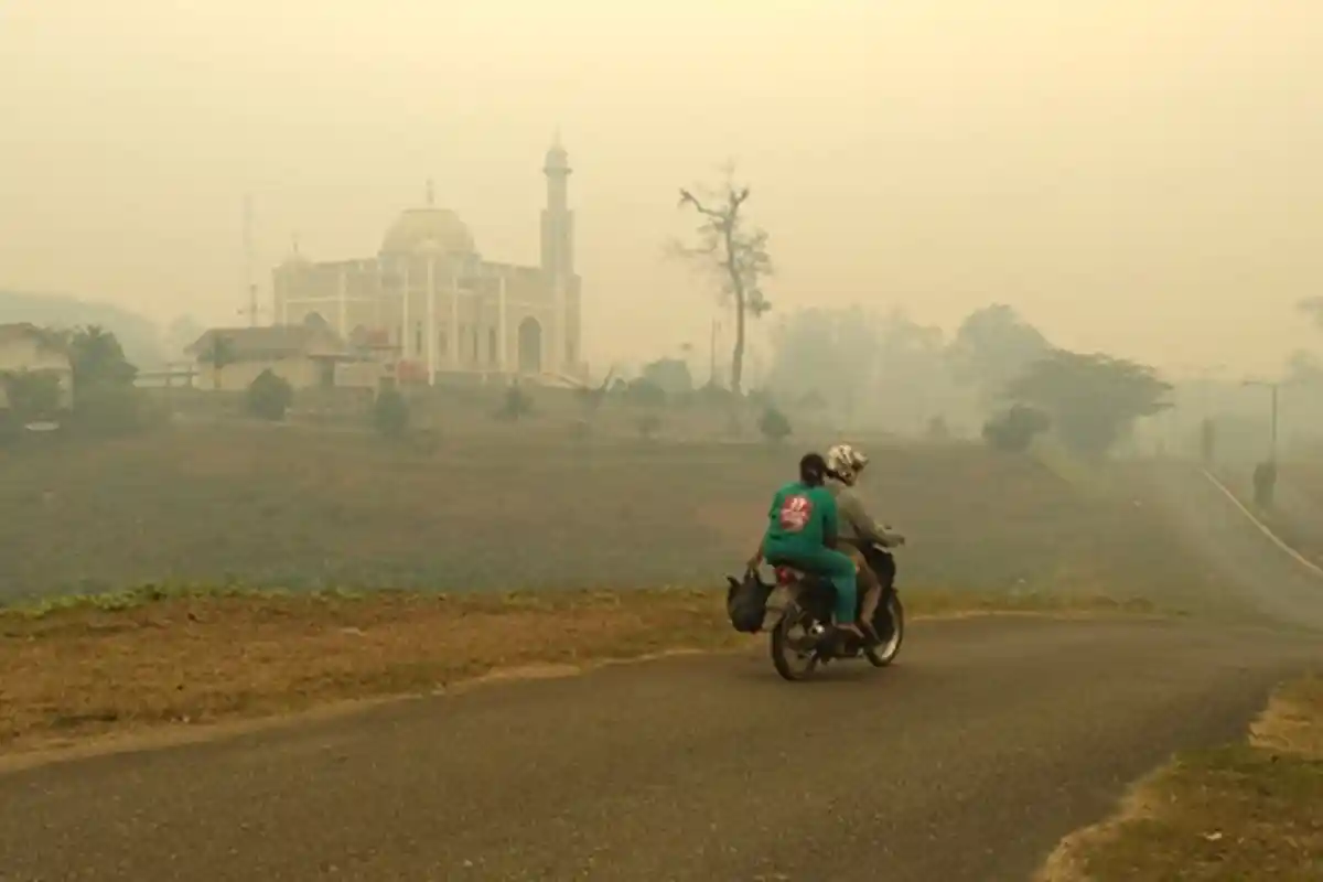Penanganan Karhutla yang Terkesan Terlambat