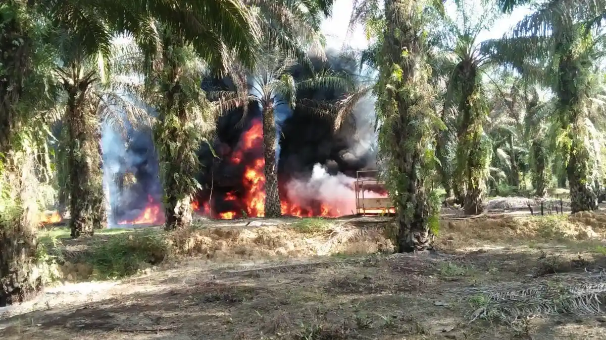 Kebakaran Bekas Sumur Ilegal Drilling di Bahar Selatan, Muarojambi, Dekat dengan Perkarangan Warga