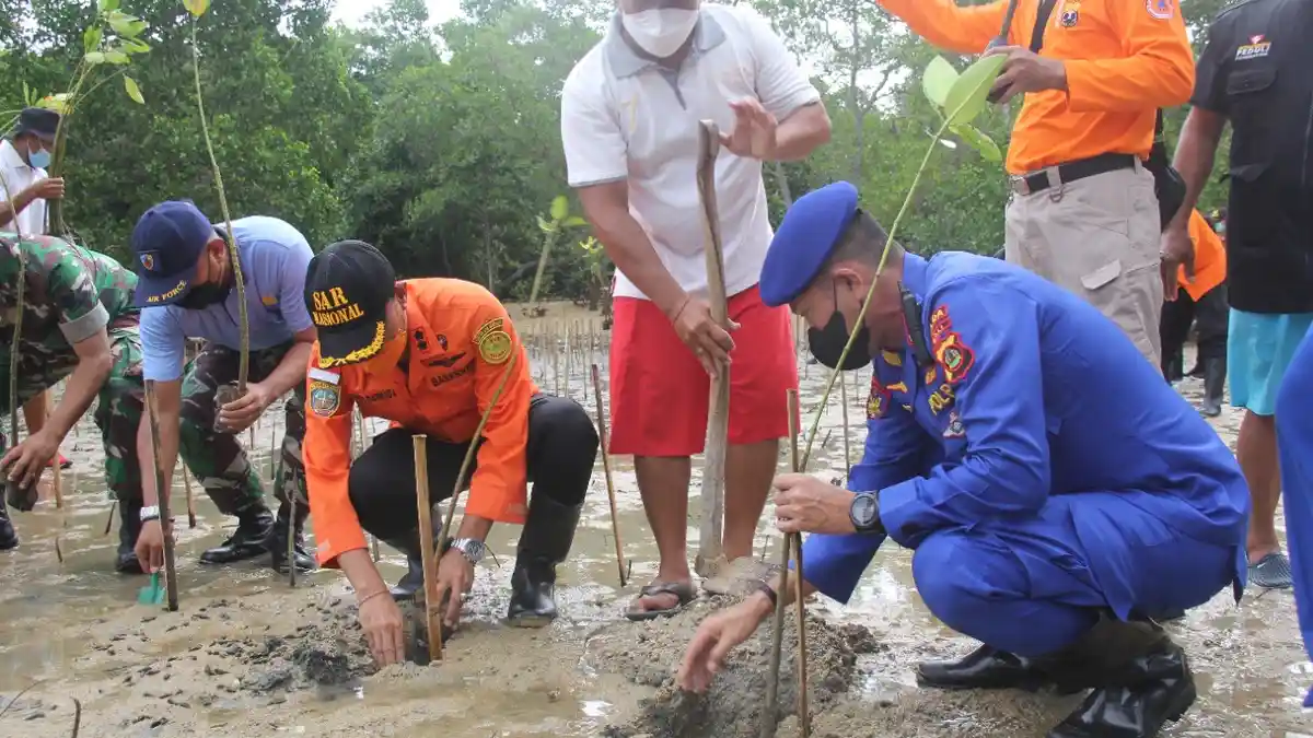 Basarnas Bali Tanam 2.200 Pohon Mangrove Dalam Rangkaian HUT ke-50 Basarnas