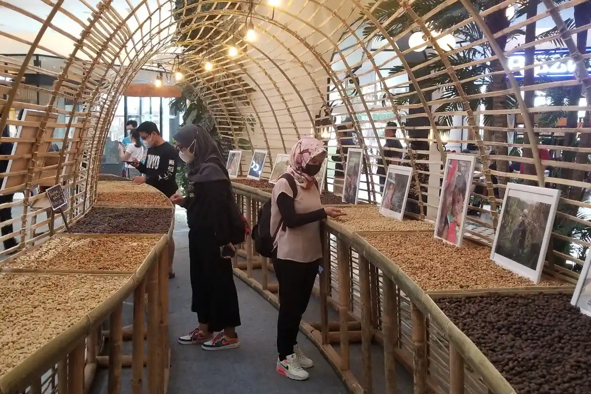 Pameran Kopi Nusantara di Tangerang, Bisa Jajal Panen Bijinya yang Sedang Dijemur
