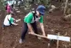 Penanaman 10.000 Bibit Pohon Kopi Gunung Puntung Bandung
