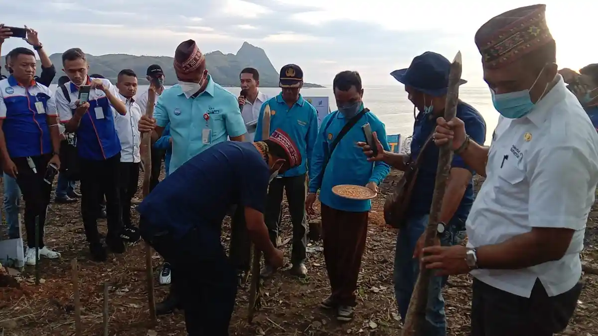 Bupati Manggarai dan Dirut Bank NTT Taman Jagung di Satar Mese Barat