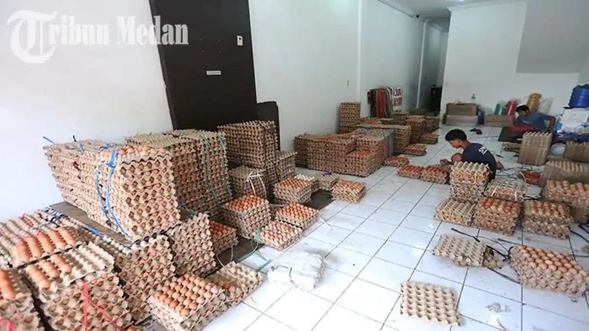 Berita Foto: Omzet Penjualan Pedagang Merosot Hingga 50 Persen, Harga Telur Melonjak - 01062023_KENAIAKAN-HARGA-TELUR_ABDAN-SYAKURO-11.jpg