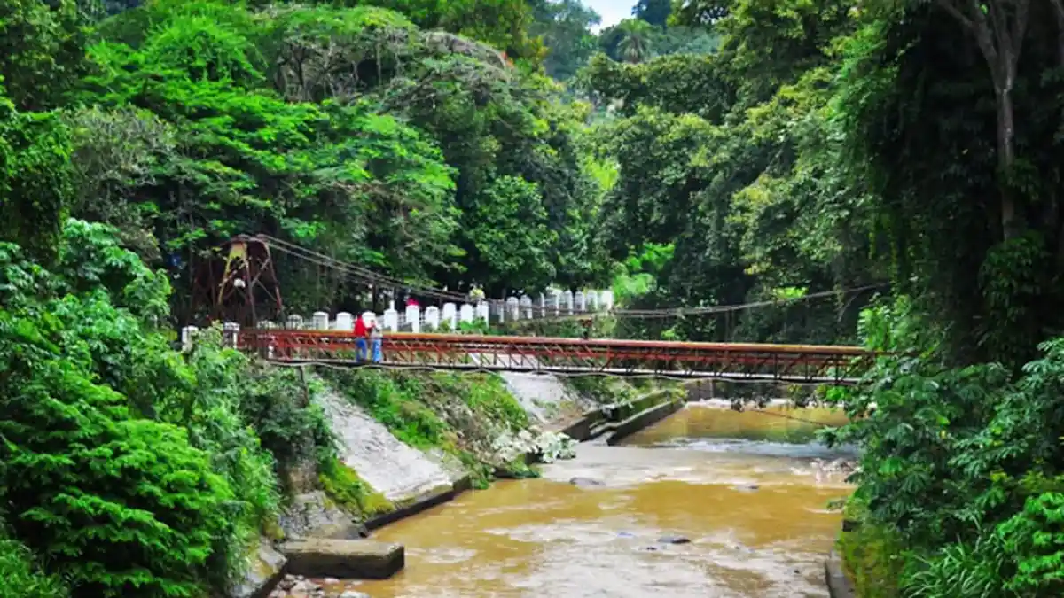 Membentang di Atas Sungai Ciliwung, Jembatan Gantung di Kebun Raya Bogor Punya Mitos soal Cinta