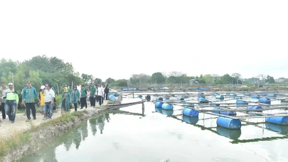 Kampung Kerapu di Lamongan Tembus Pasar Hongkong dan Amerika