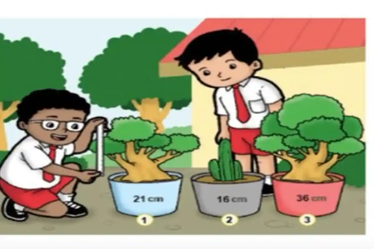 Latihan Soal BAB 3 Matematika Kelas 3 SD Kurikulum Merdeka dan Jawaban Pengukuran Panjang dan Berat