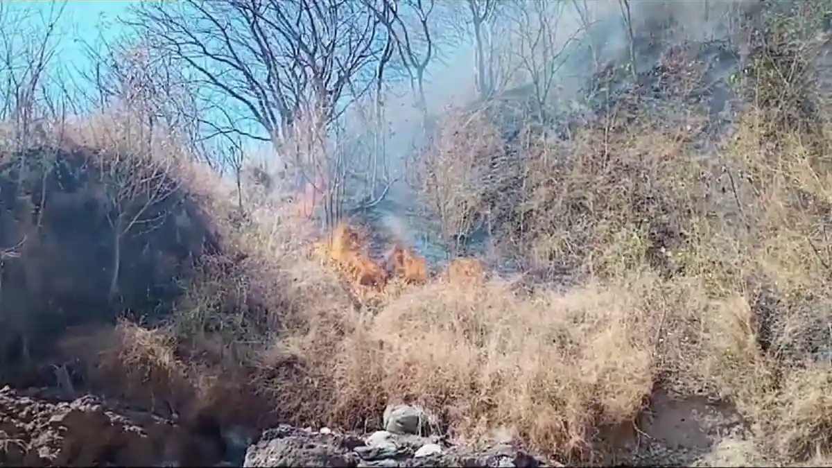 Kebakaran Lahan Pertanian di Pulau Palue Sikka Terus Meluas, Rumah Warga Terancam