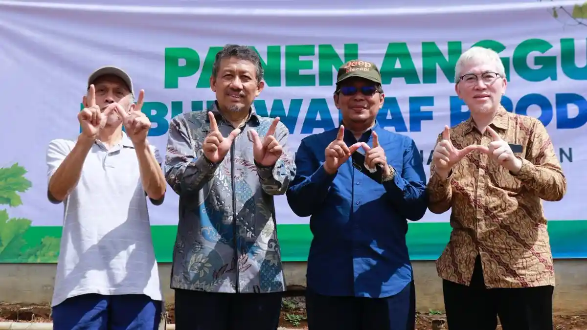 Panen Perdana Anggur di Ciburial Bandung Jadi Contoh Pengelolaan Wakaf Modern