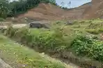 Picu Banjir, Perusahaan Tambang Galian C di Bambaira Pasangkayu Kembali Keruk Drainase