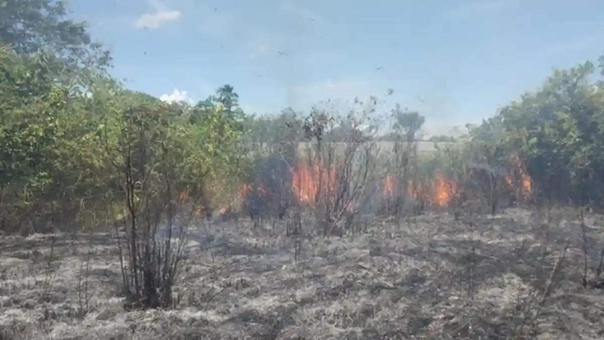 1,5 Hektare Lahan Terbakar di Blang Mangat Lhokseumawe