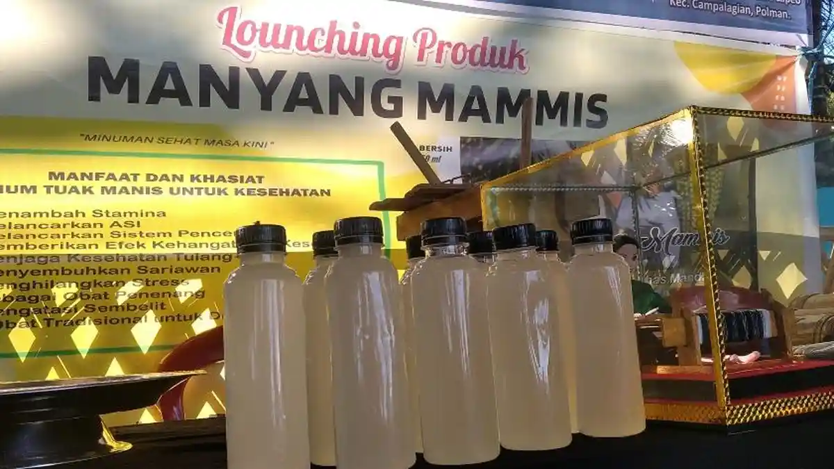 Guru SMK di Polman Ciptakan Oleh oleh Khas Mandar Manyang Mammis, Bisa Bertahan 17 Hari
