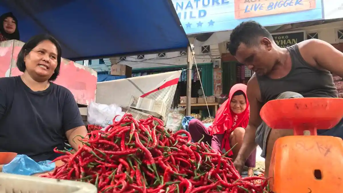 Harga Cabai Mahal, Ibu-ibu di Sengeti Dibuat Bingung