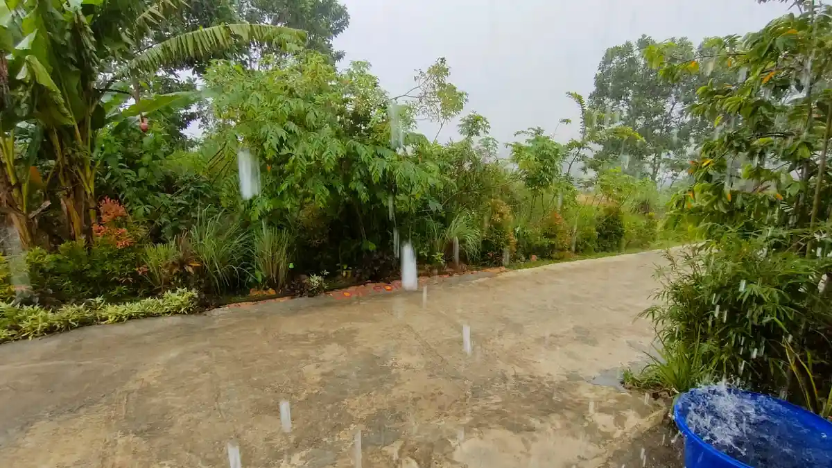 Cuaca Balikpapan Hari Ini, Selasa 26 Juli 2022, Tengah Malam akan Berawan dan Hujan