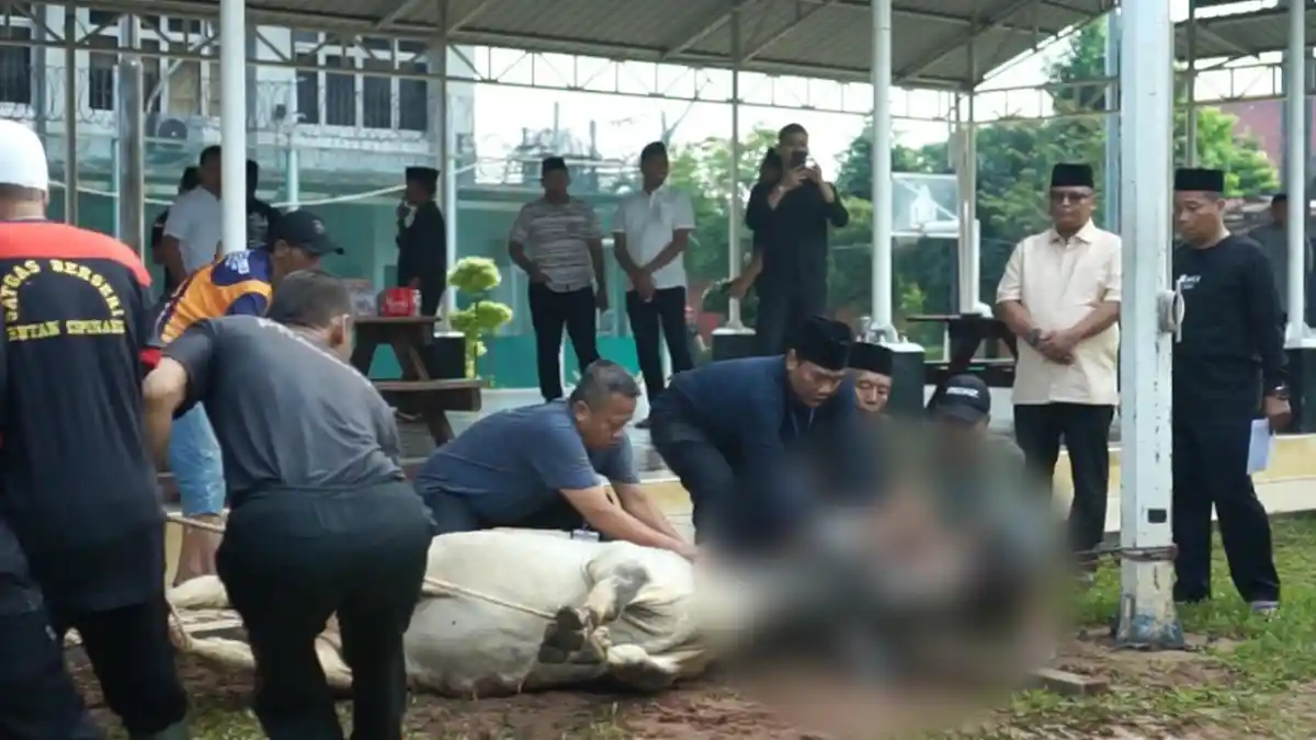Rutan Cipinang Sembelih 12 Sapi dan 30 Kambing saat Iduladha, Disalurkan ke Warga dan Tahanan