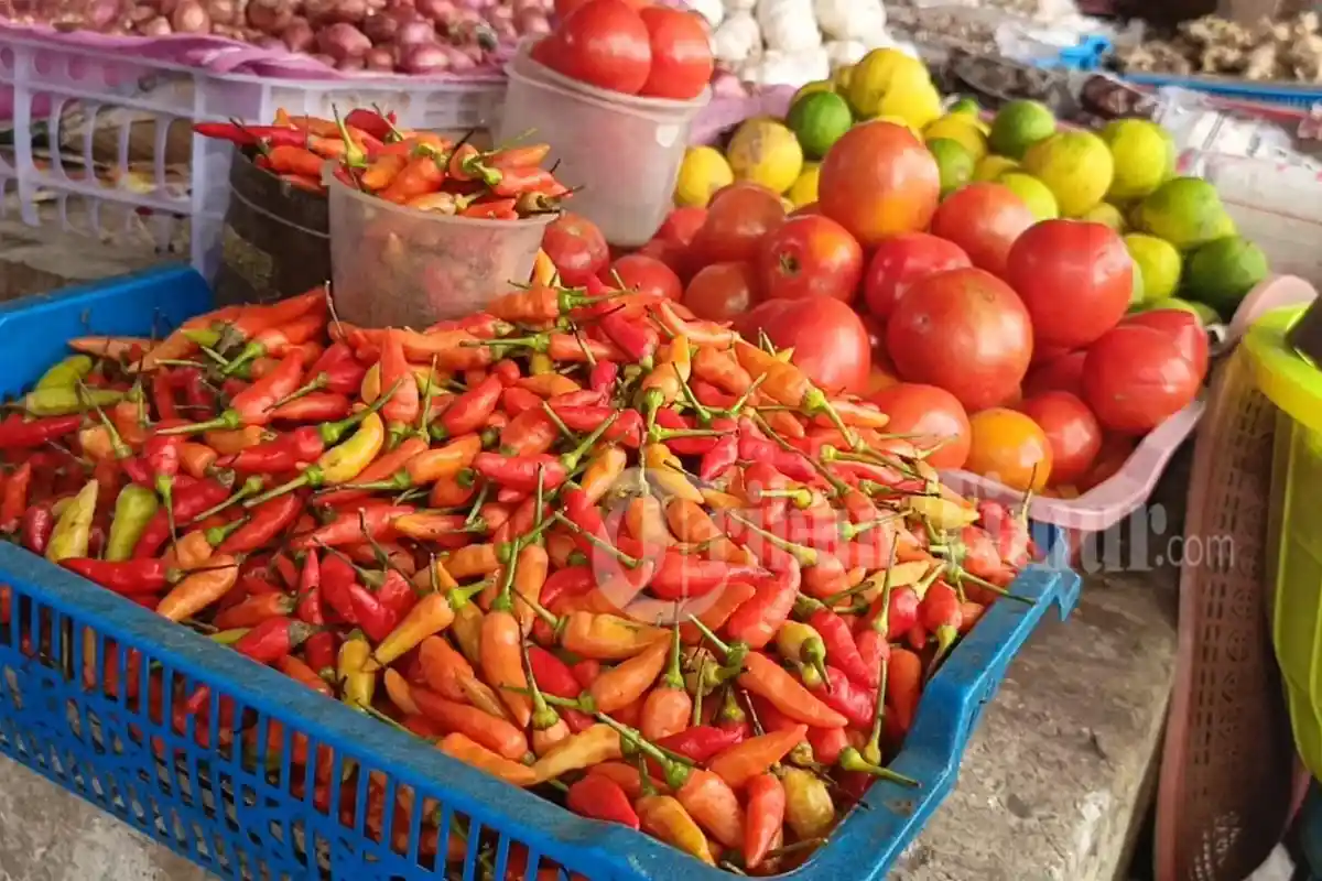 Jelang Idul Adha Harga Cabai Naik Rp5 Ribu di Sengkang