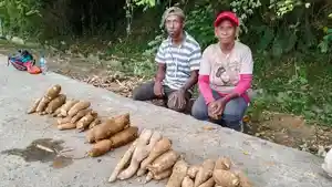 Pedagang-asal-Bintuni-Yulius.jpg