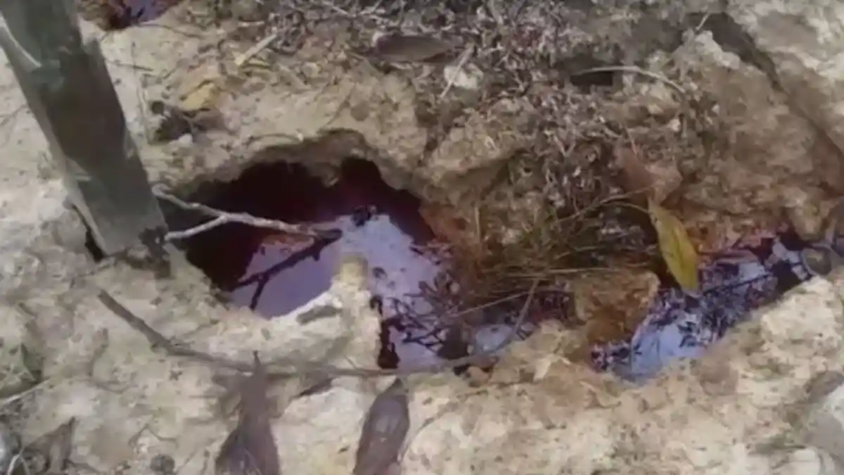Bikin Bulu Kuduk Berdiri! Makam Wanita Ini Keluarkan Genangan Merah Seperti Darah