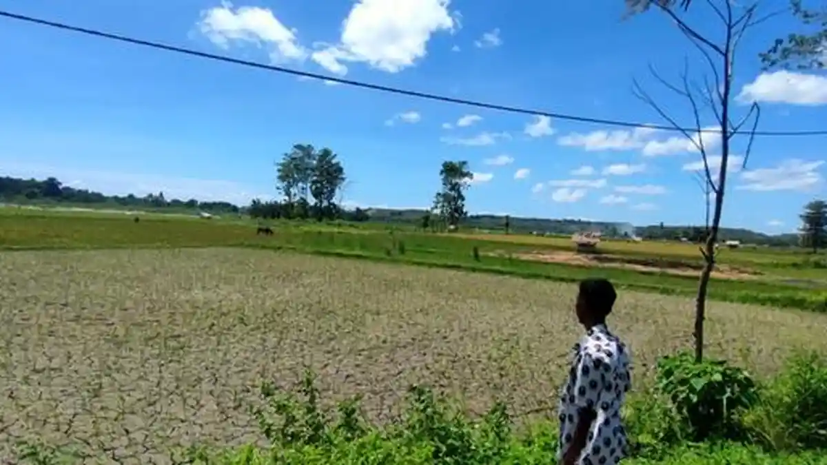 Hadapi Kekeringan, Warga NTT Perlu Menghemat Air 