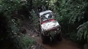 jelajah-alas-roban-dengan-jeep.jpg