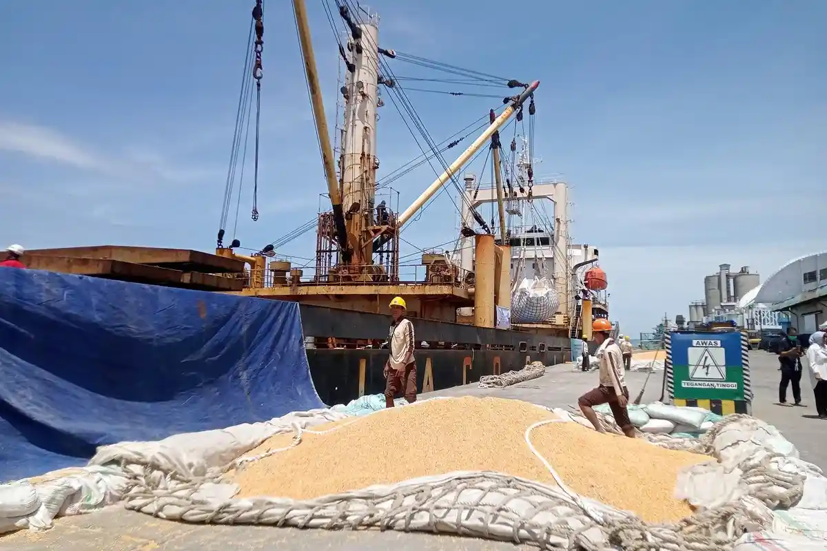 Karantina Pertanian Makassar Lepas Ekspor 6.150 Ton Jagung ke Filipina