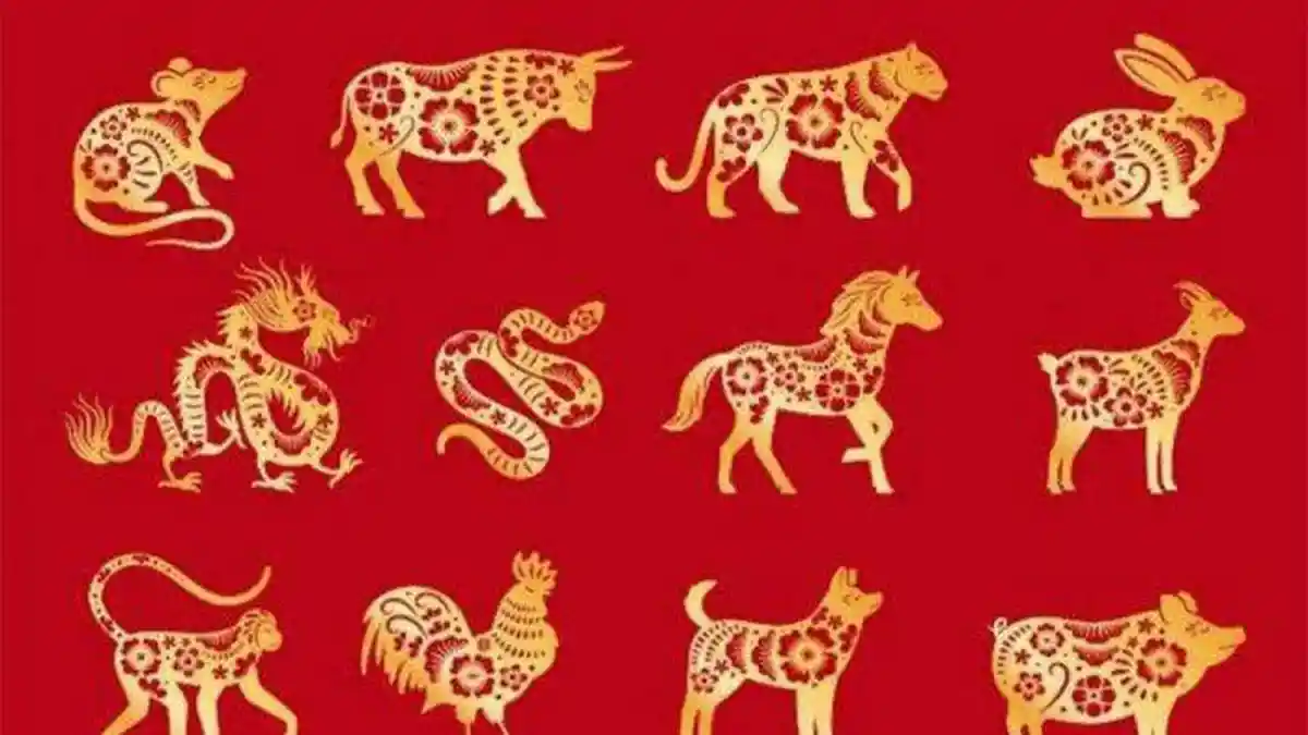 Ramalan Shio Lusa Jumat 31 Desember 2021, Perubahan Besar Shio Macan & Pilihan Sulit Shio Ular
