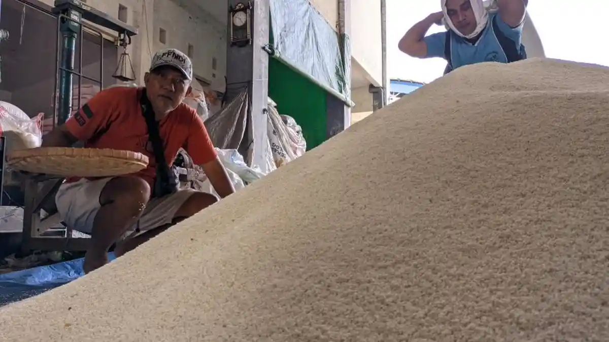 Keluh Pengusaha Warung Makan, Harga Beras Naik Rp300.000/Karung, Peneliti: Dampak Bansos & Pemilu