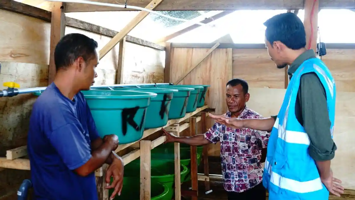 PLN UIP Sulawesi Berdayakan Nelayan Lobster di Baubau