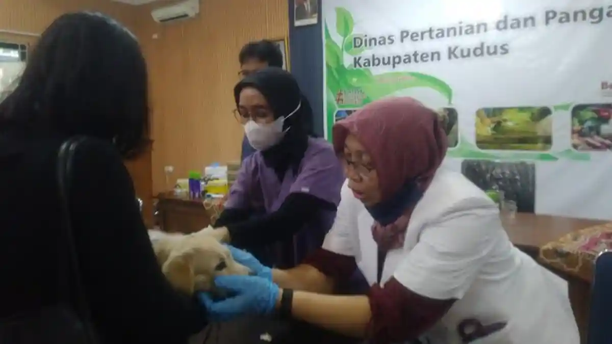 Vaksinasi Rabies di Kudus Membludak, Tembus 270 Pendaftar