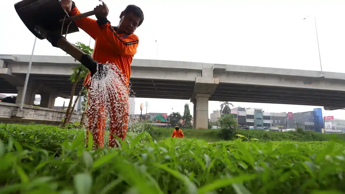 Kerawanan Pangan Jadi Bahasan Utama di Atlantic Council Global Food Security Forum