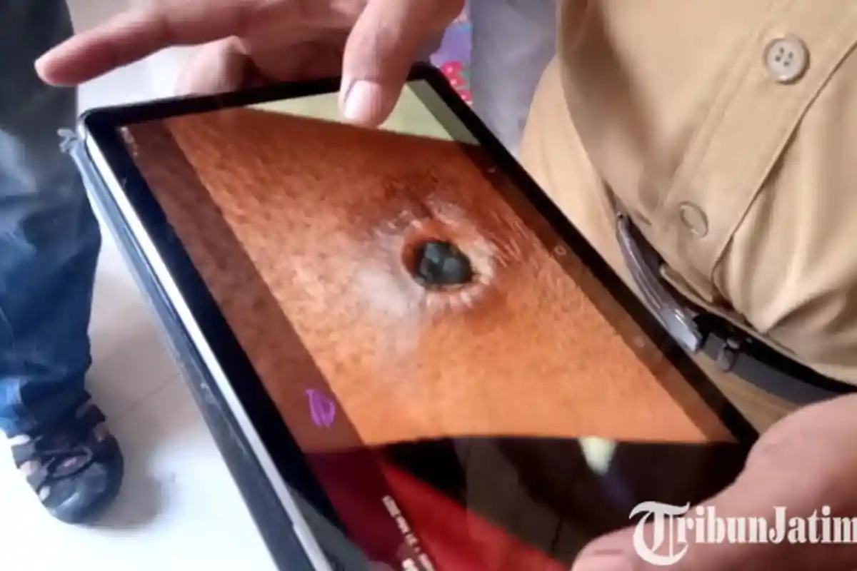 Dinkes Tulungagung Lakukan Pengobatan Massal Pada Suspect Antraks dan Kontak Eratnya