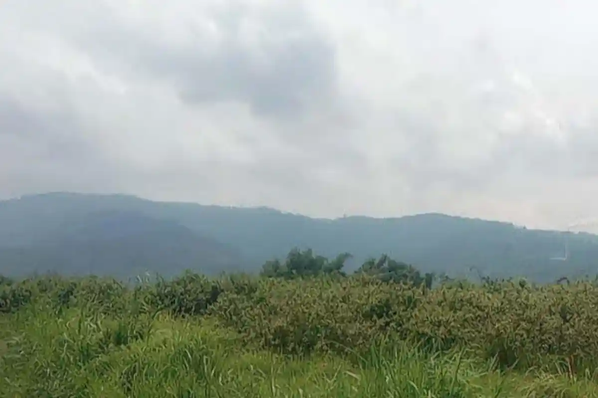 Nasib Aset Pemkab Malang 5,6 Hektare Hasil Ruislag Lawang View Terbengkalai, Inspektorat Tak Monitor