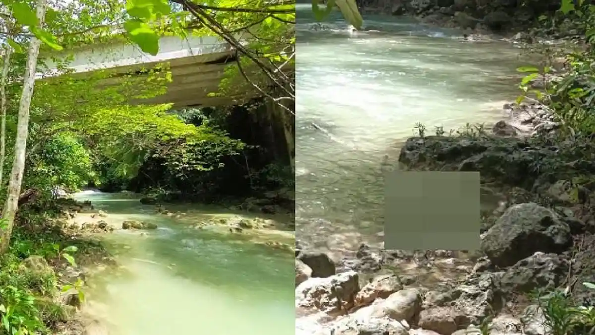 Mengenal Jembatan Permandian Kogawuna