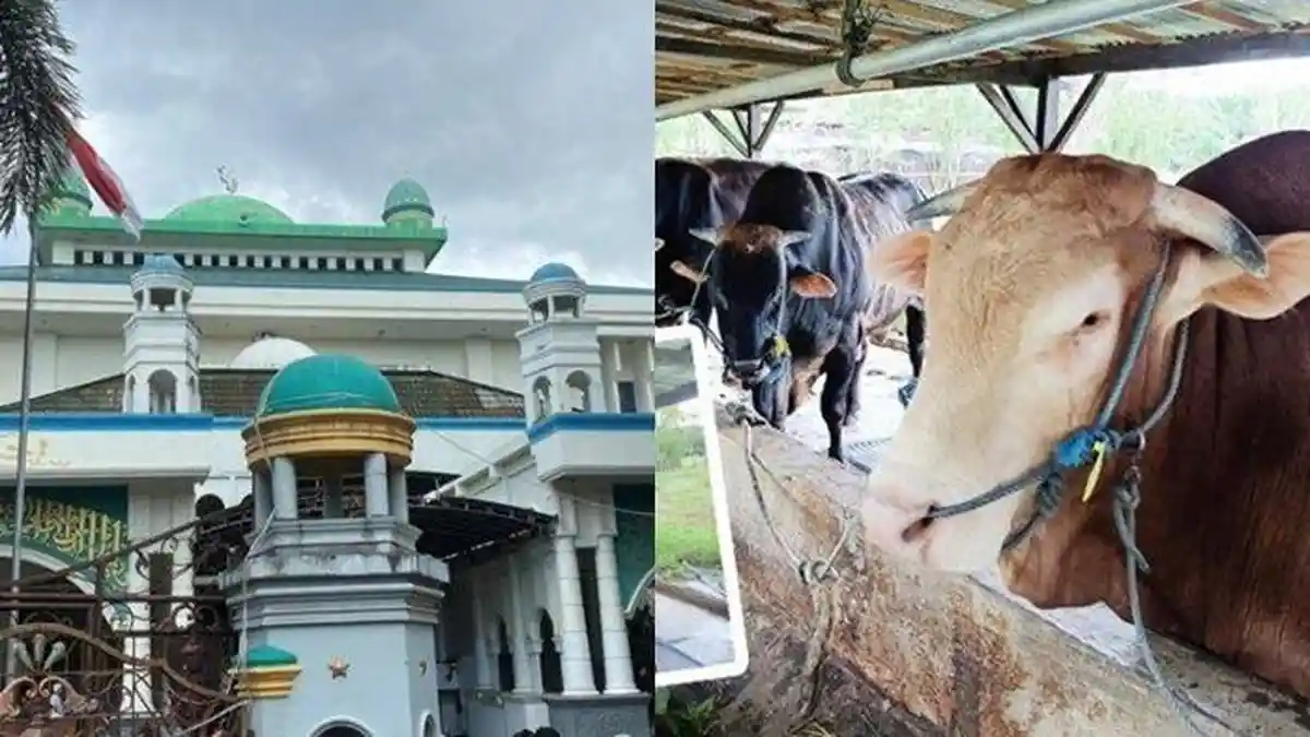 Daftar Nama Masjid di Sulawesi Utara, Tempat Penyaluran Sapi dari Presiden Prabowo Subianto