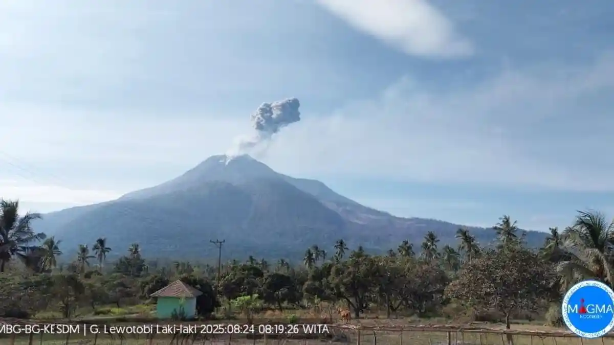 Gunung Lewotobi Laki-laki 3 Kali Meletus Pagi Ini, Tinggi Kolom 1000 Meter