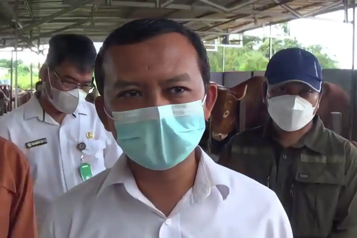 Rumor Gejala Virus PMK Sudah Merambah Kalteng dan Kalbar, DP3 Balikpapan: Masih Dalam Pengujian