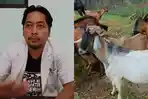 Inilah-cara-memilih-sapi-dan-kambing-kurban-dari-Dokter-Hewan-Provinsi-Sulawesi-Tenggara.jpg
