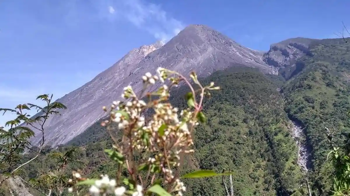 Rekomendasi Wisata di Klaten: Basecamp Sapuangin, Bisa Camping Sambil ...