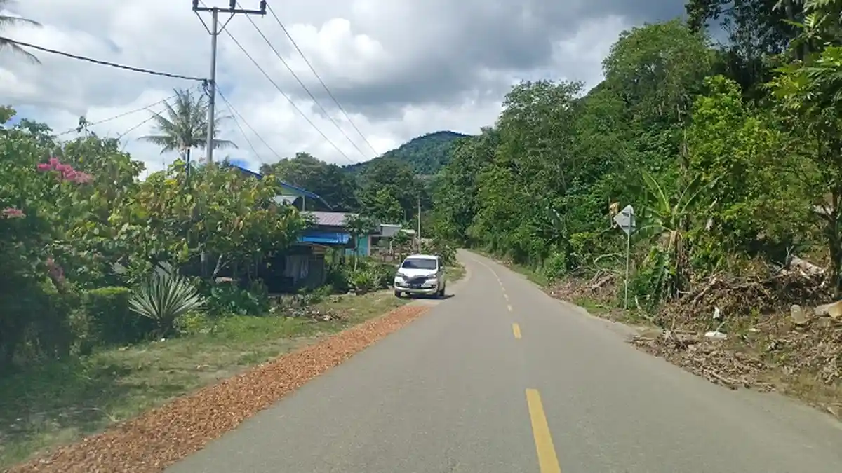 Warga Putri Betung Jemur Kakao di Bahu Jalan Nasional, Pengendara Bilang Begini