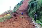 Longsor Sempat Tutup Jalan di Campursari Kejajar Wonosobo, Lahan Pertanian Warga Ikut Tertimbun