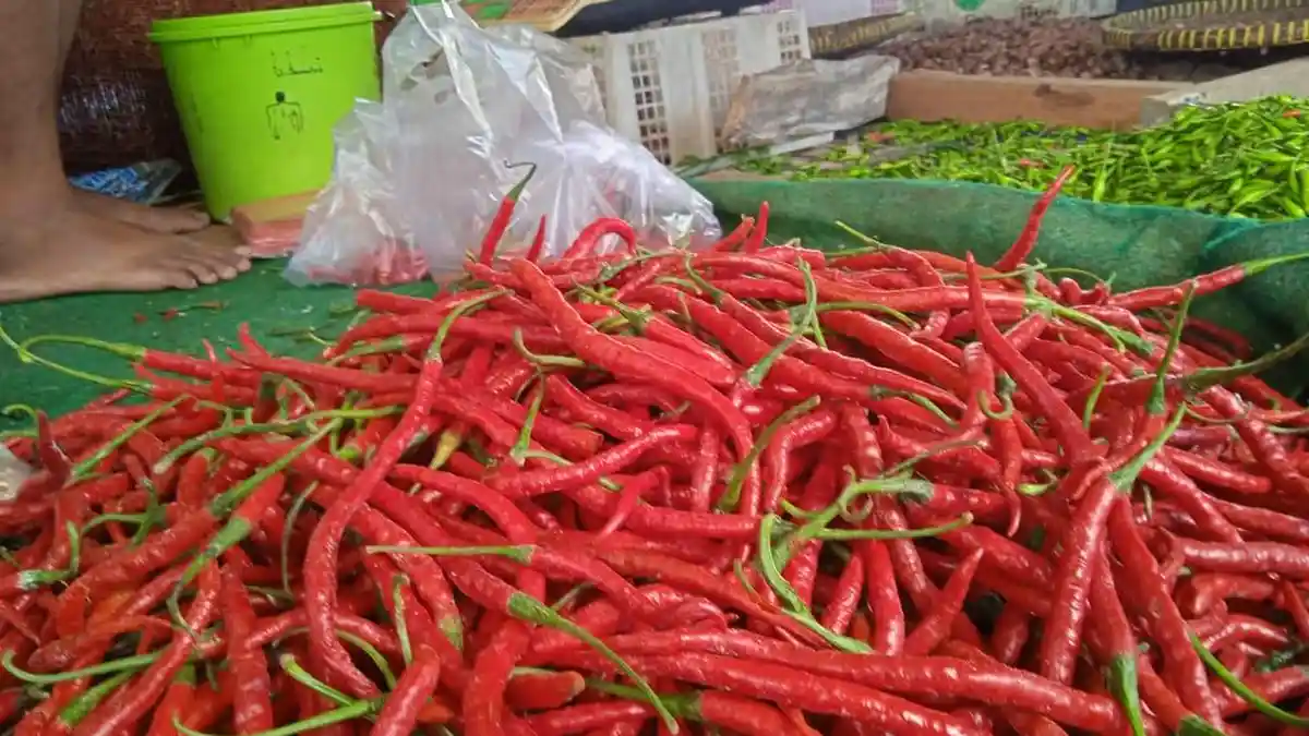 Harga Bahan Pokok di Batanghari Mulai Turun, Cabai Merah Rp35 Ribu